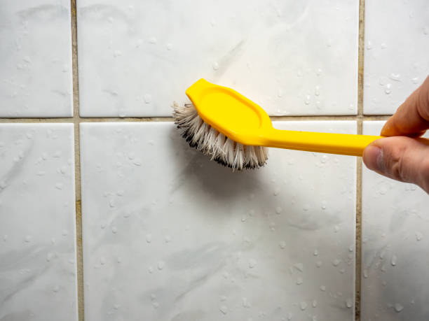 Best Office Mold Removal Services  in Fayette, AL